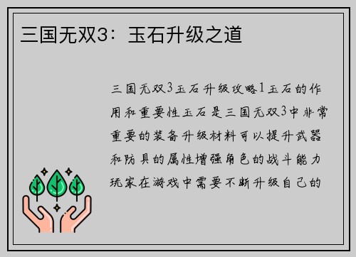 三国无双3：玉石升级之道